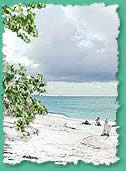 Strand auf Lovers Key